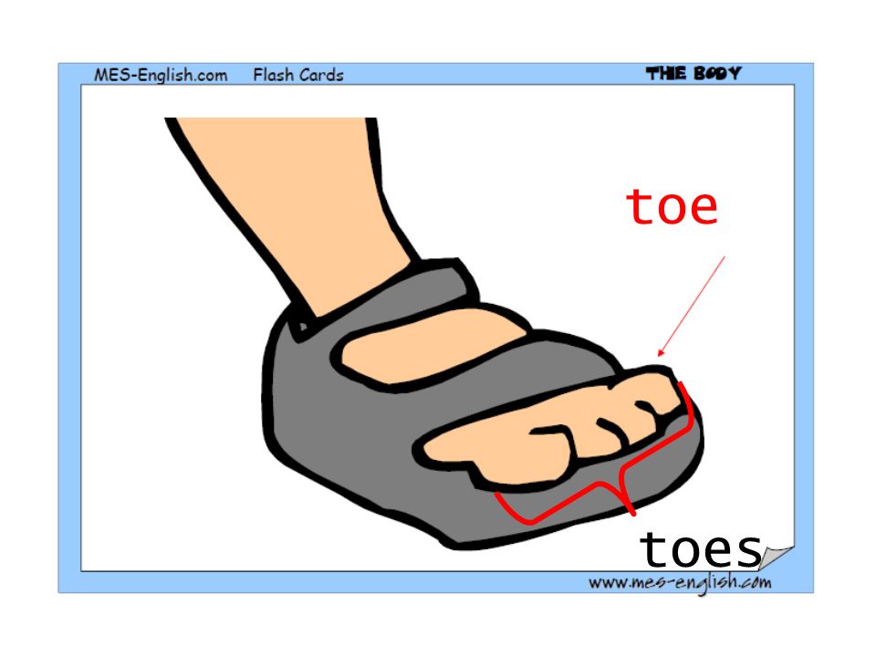 toe toes