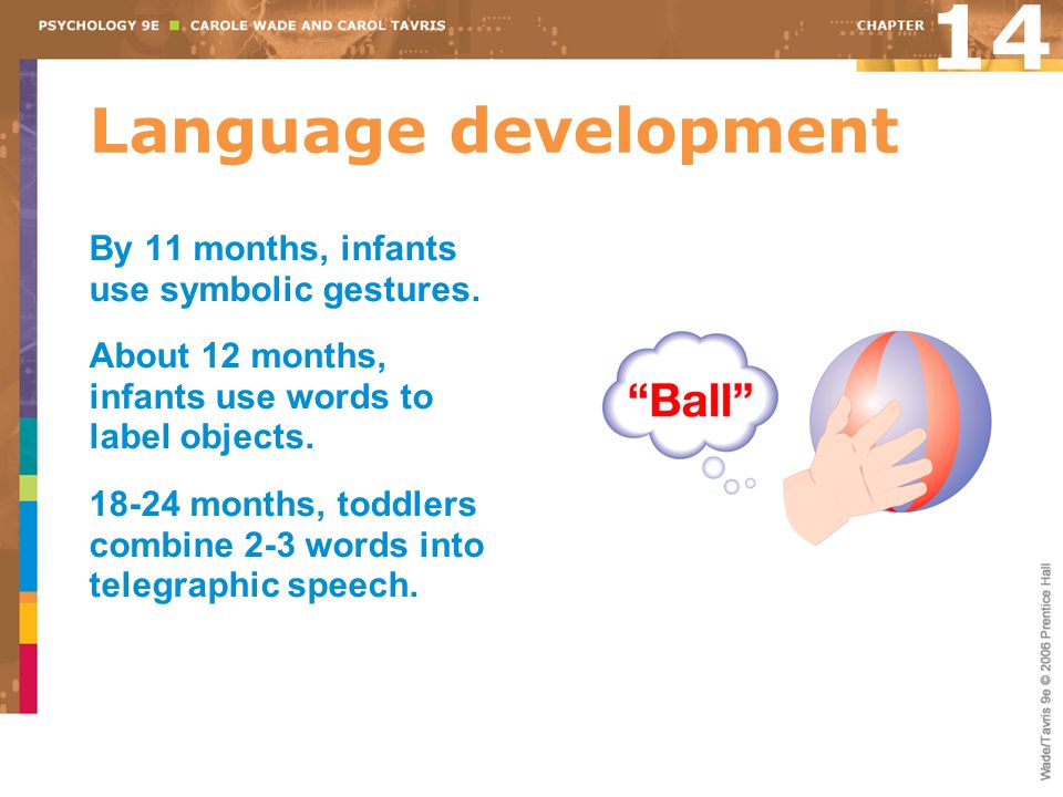 14 Language development By 11 months, infants use symbolic gestures.