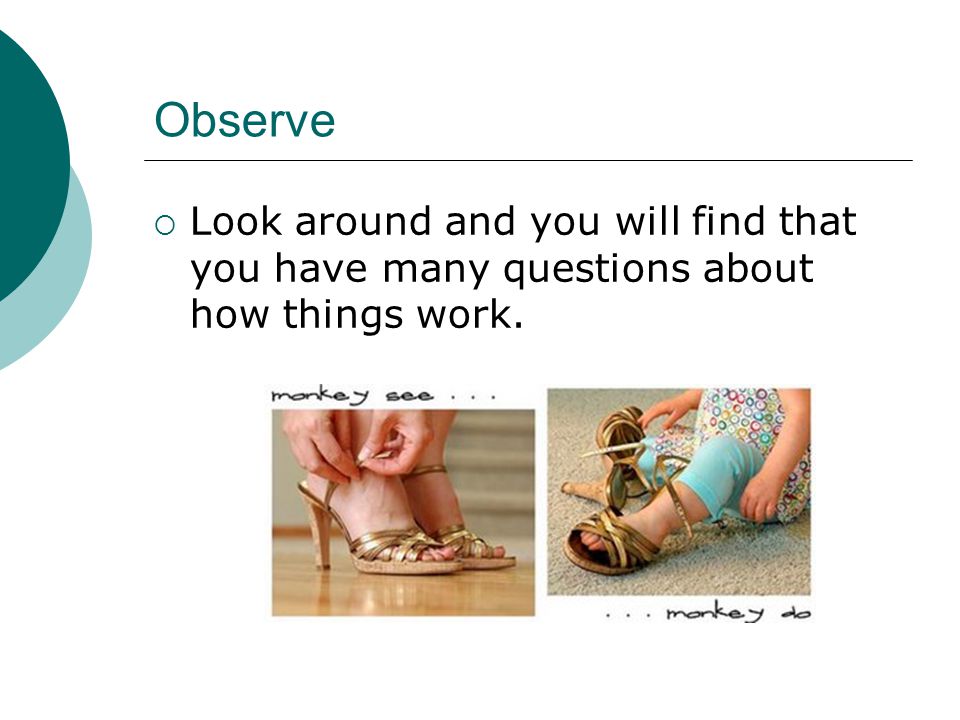 Observe Look around and you will find that you have many questions about how things work.