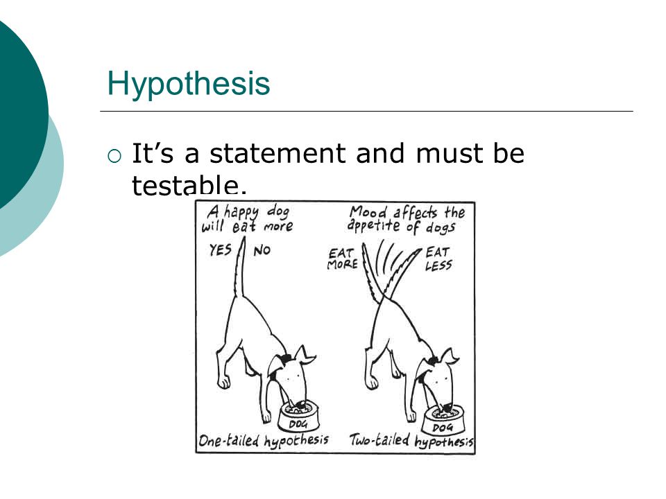 Hypothesis It’s a statement and must be testable.