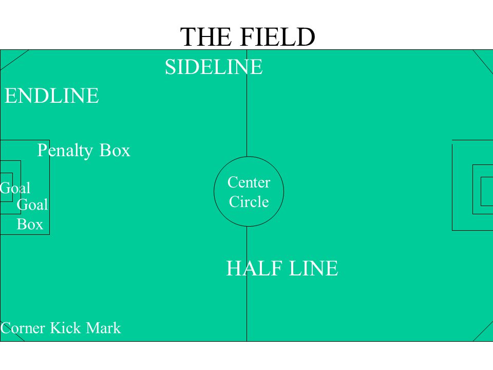 THE FIELD SIDELINE HALF LINE Penalty Box ENDLINE Center Goal Circle