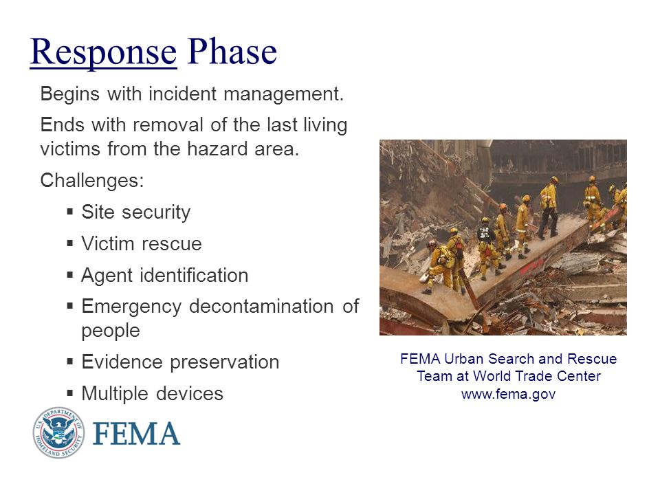 FEMA Urban Search and Rescue Team at World Trade Center