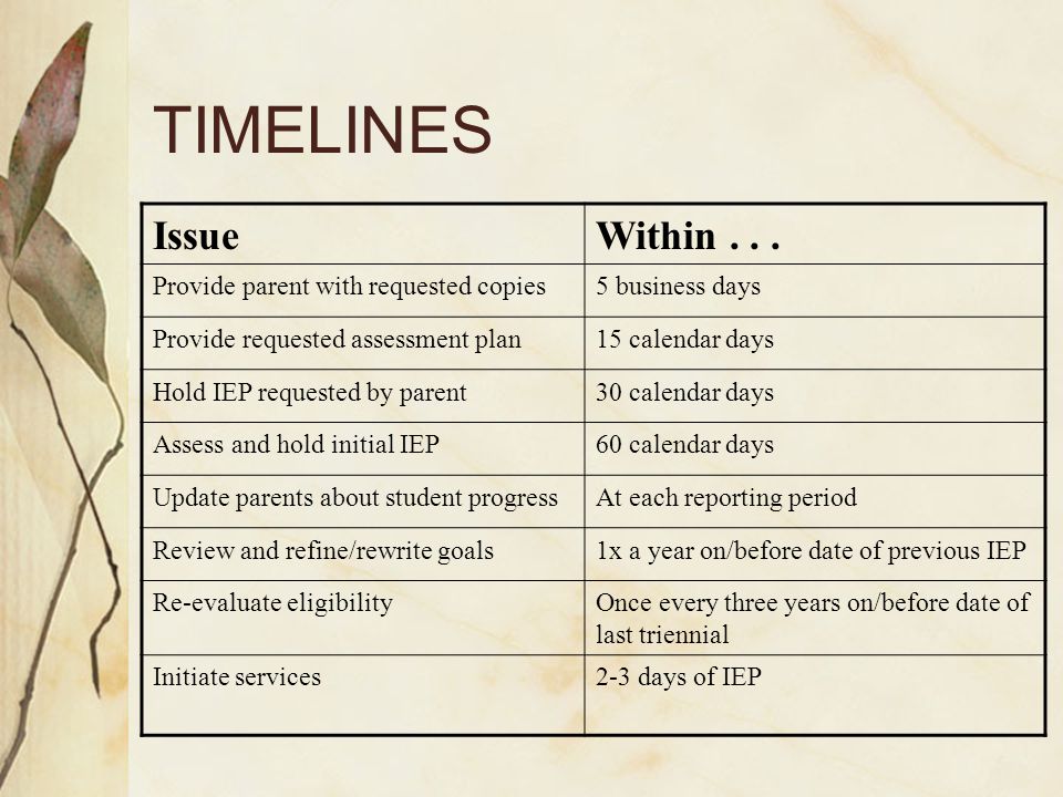Iep Timeline Chart