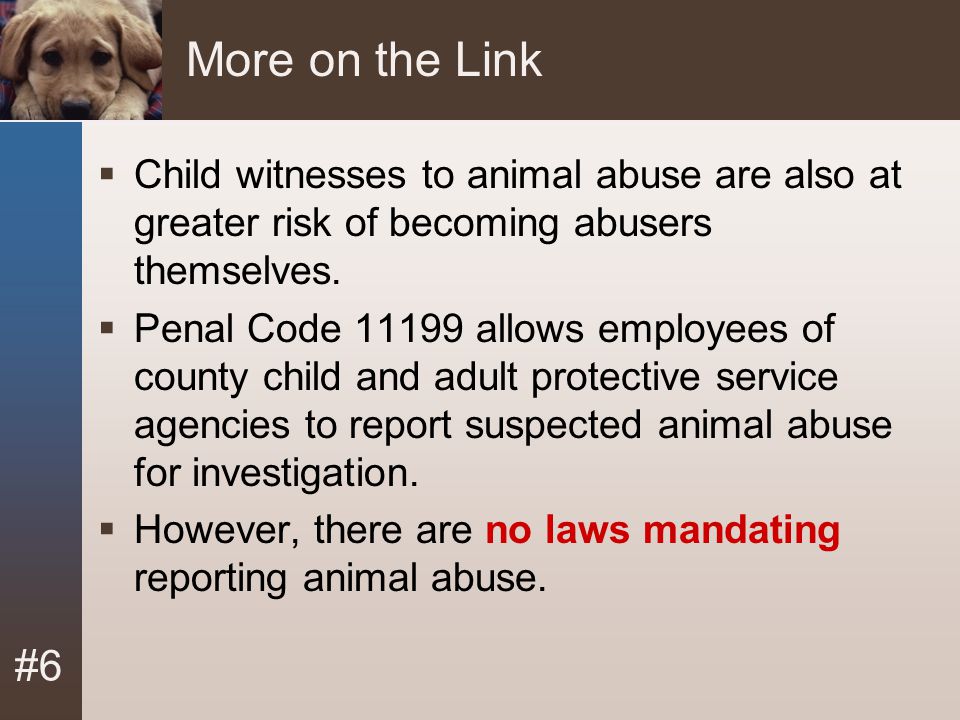 animal abuse module 6 Family Violence Protocol - ppt download