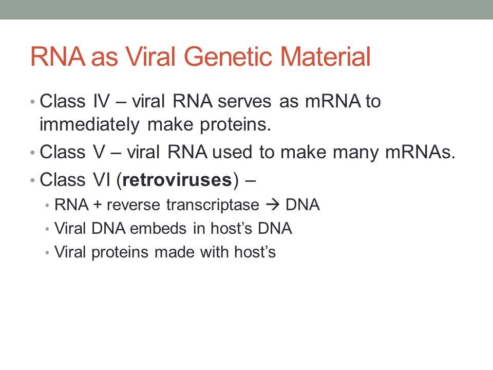 RNA as Viral Genetic Material