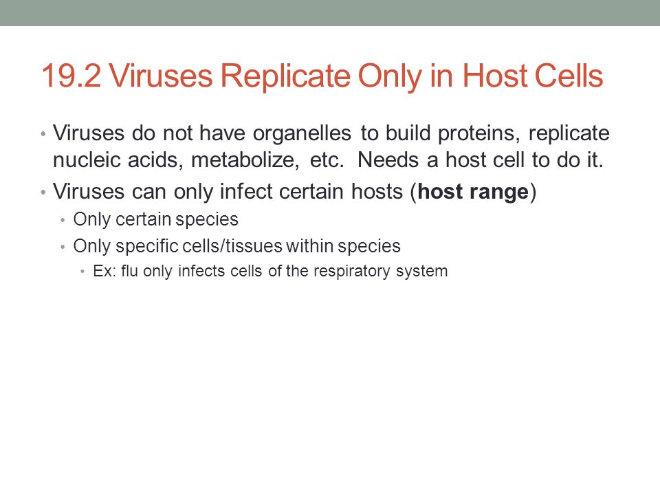 19.2 Viruses Replicate Only in Host Cells