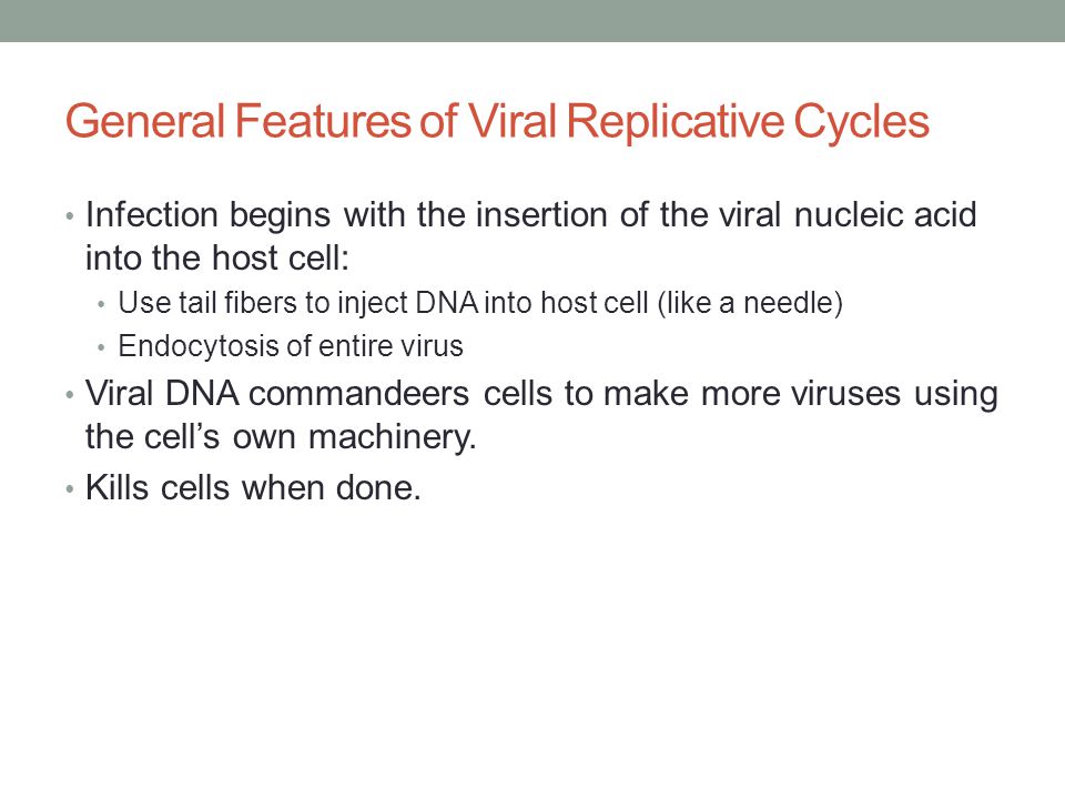 General Features of Viral Replicative Cycles