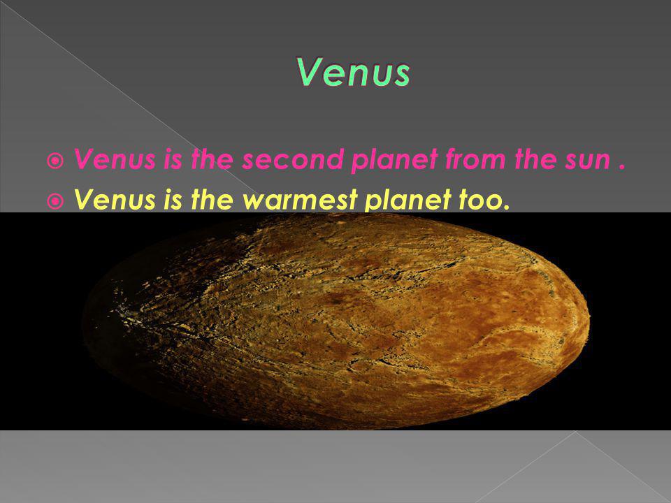Venus Venus is the second planet from the sun .