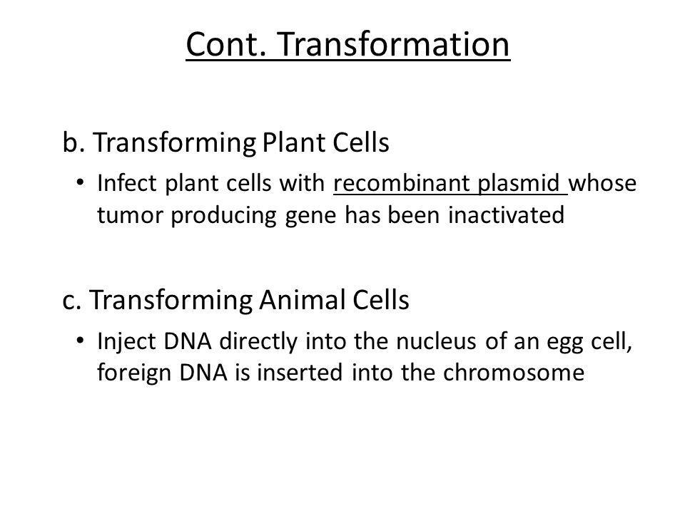 Cont. Transformation b. Transforming Plant Cells
