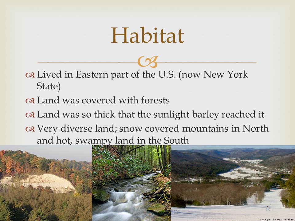 Habitat Lived in Eastern part of the U.S. (now New York State)