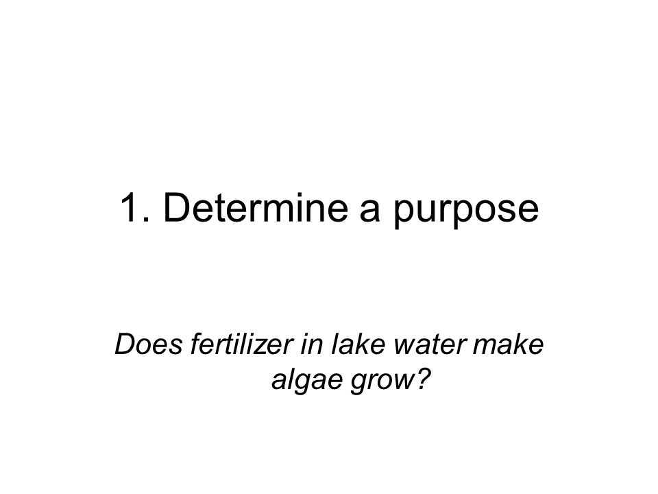 Does fertilizer in lake water make algae grow