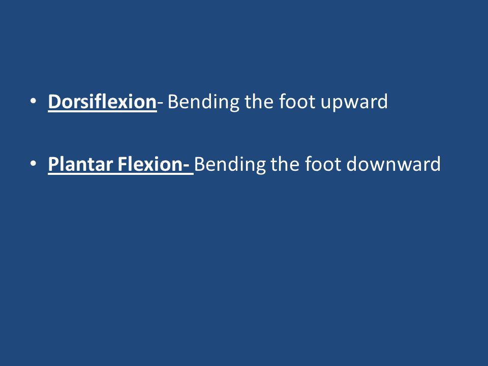 Dorsiflexion- Bending the foot upward