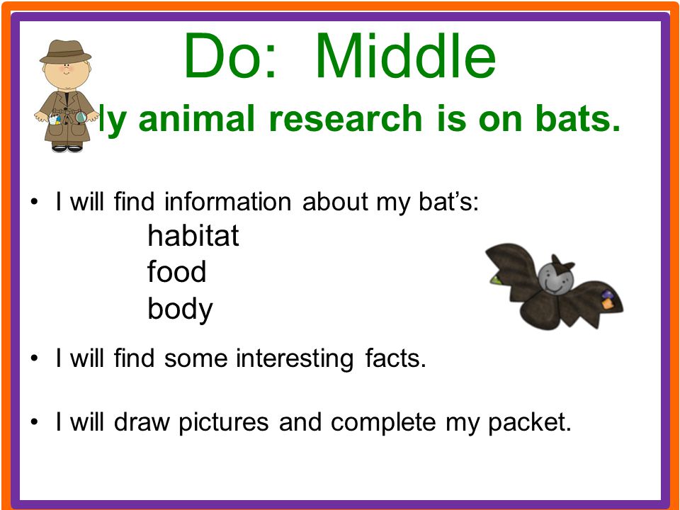 My animal research is on bats.