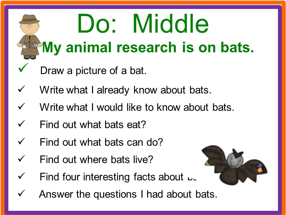 My animal research is on bats.