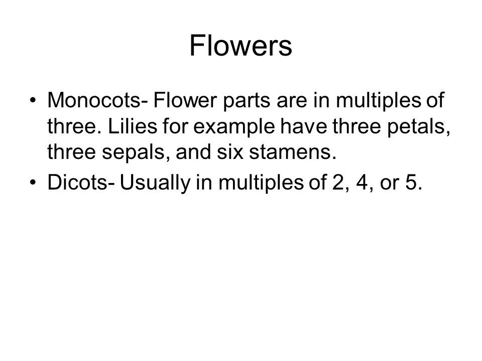 Flowers Monocots- Flower parts are in multiples of three. Lilies for example have three petals, three sepals, and six stamens.