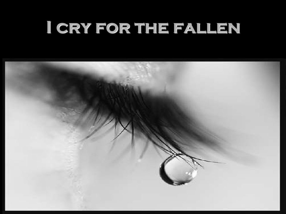I cry for the fallen