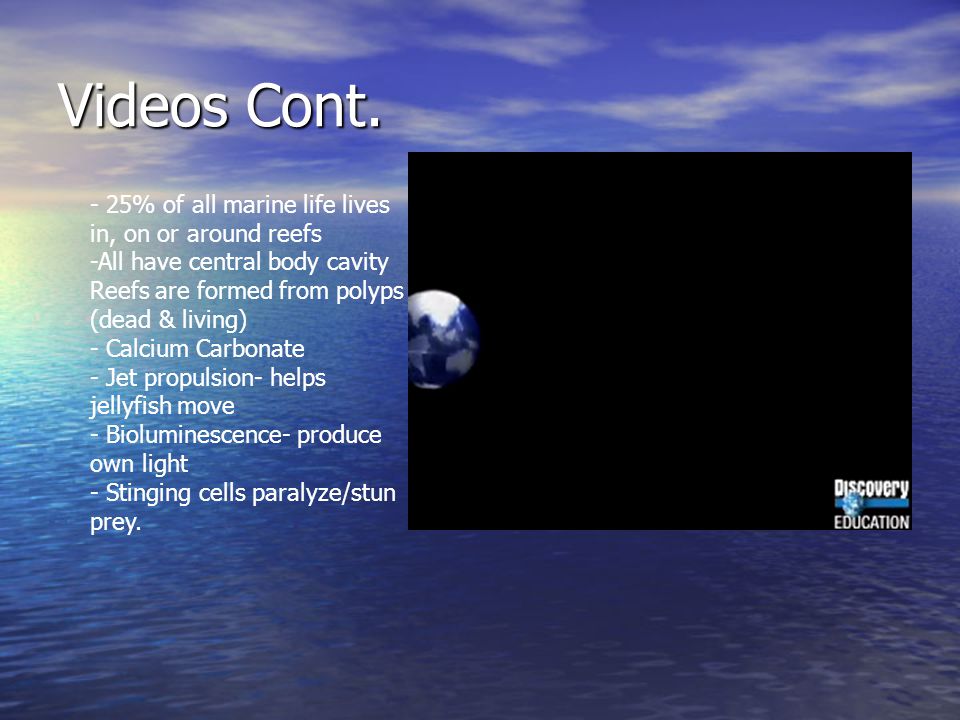 Videos Cont. - 25% of all marine life lives in, on or around reefs