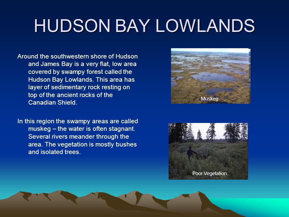 Image result for ontario hudson bay lowlands