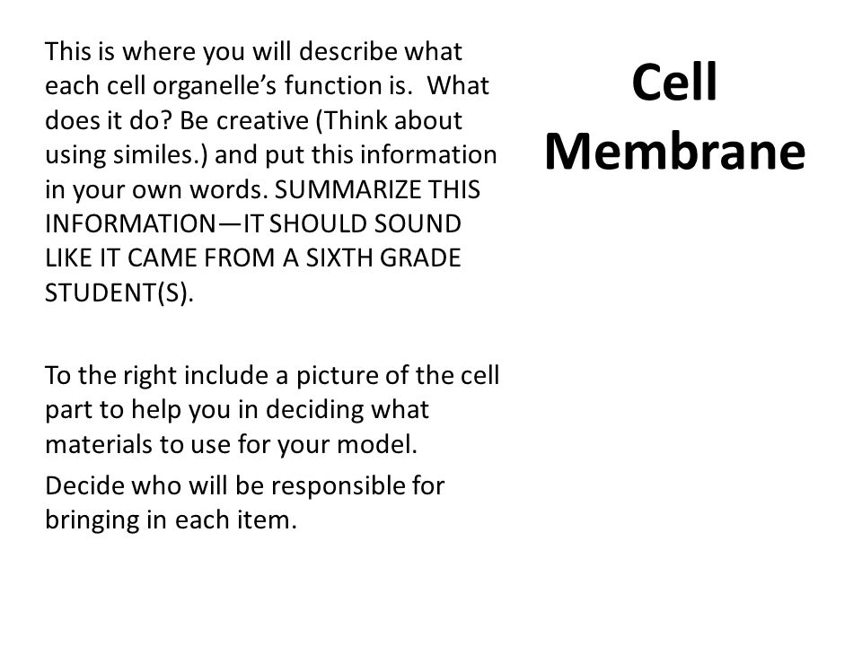 This is where you will describe what each cell organelle’s function is
