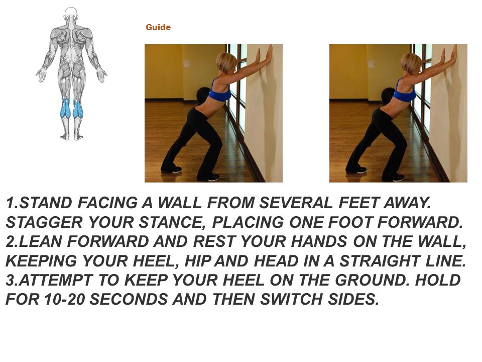 Main Muscle: Calves CLICK TO ENLARGE. Calf Stretch Hands Against Wall Guide. CLICK TO ENLARGE.