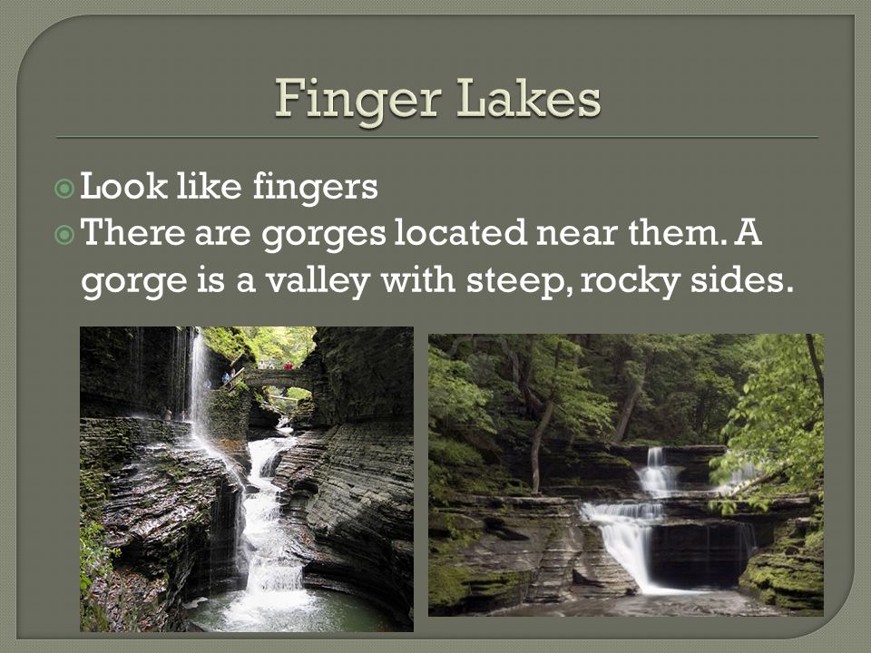 Finger Lakes Look like fingers