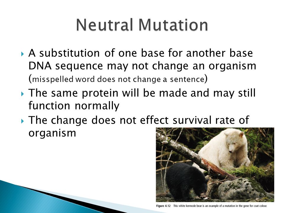 Unit 4 Reproduction. ppt video online download