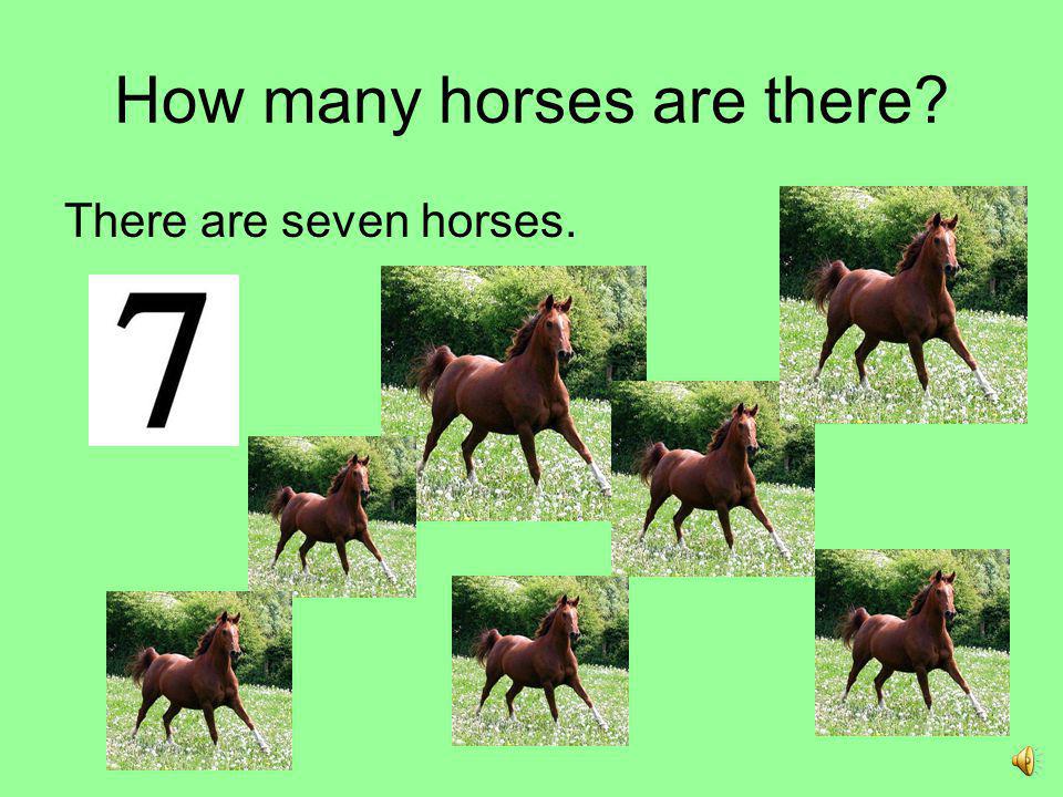 How many horses are there