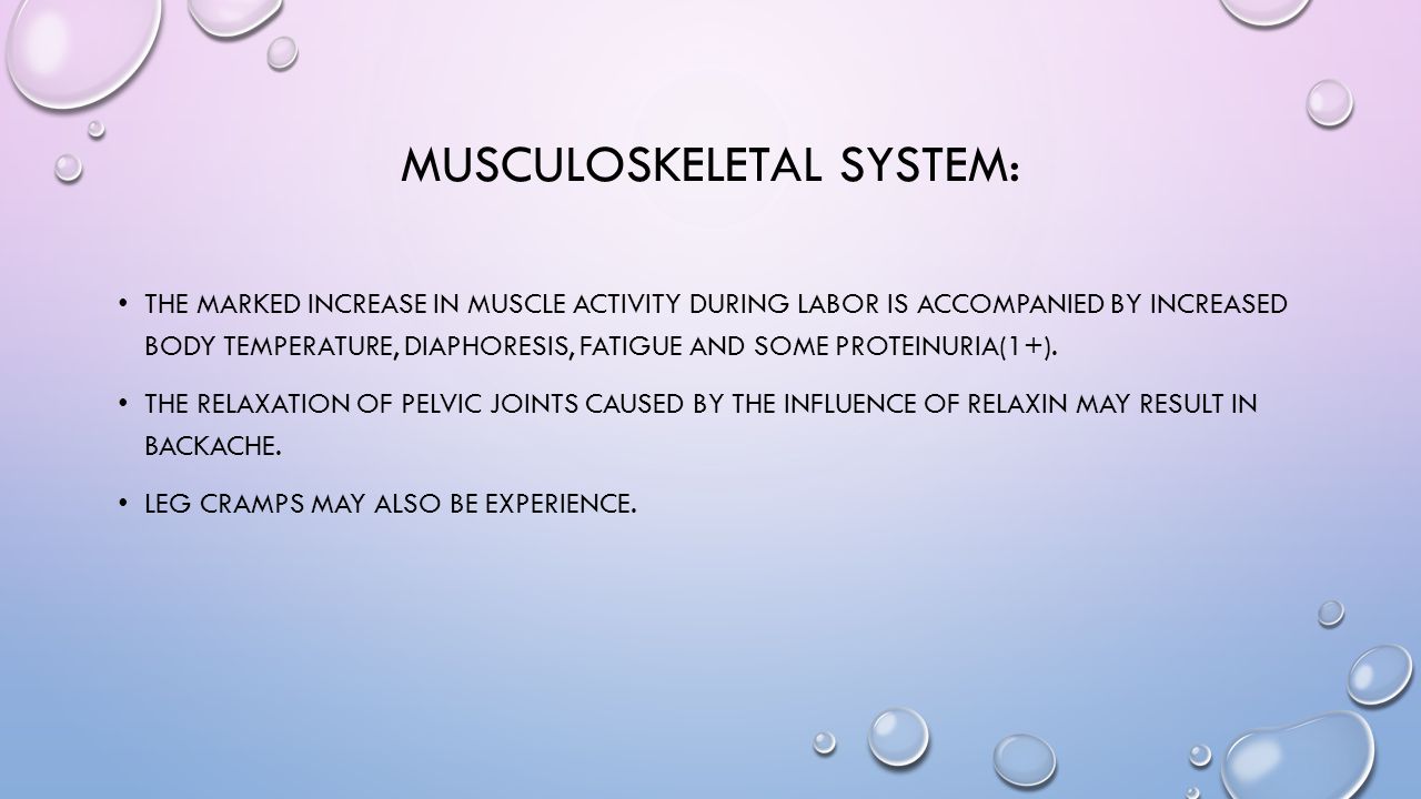 Musculoskeletal System: