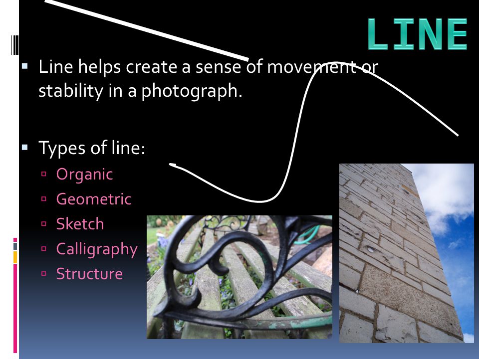 LINE Line helps create a sense of movement or stability in a photograph. Types of line: Organic.