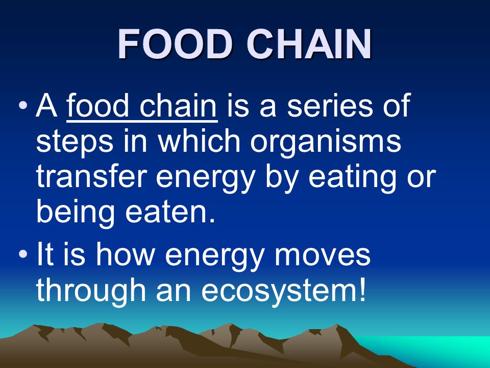 FOOD CHAIN A food chain is a series of steps in which organisms transfer energy by eating or being eaten.