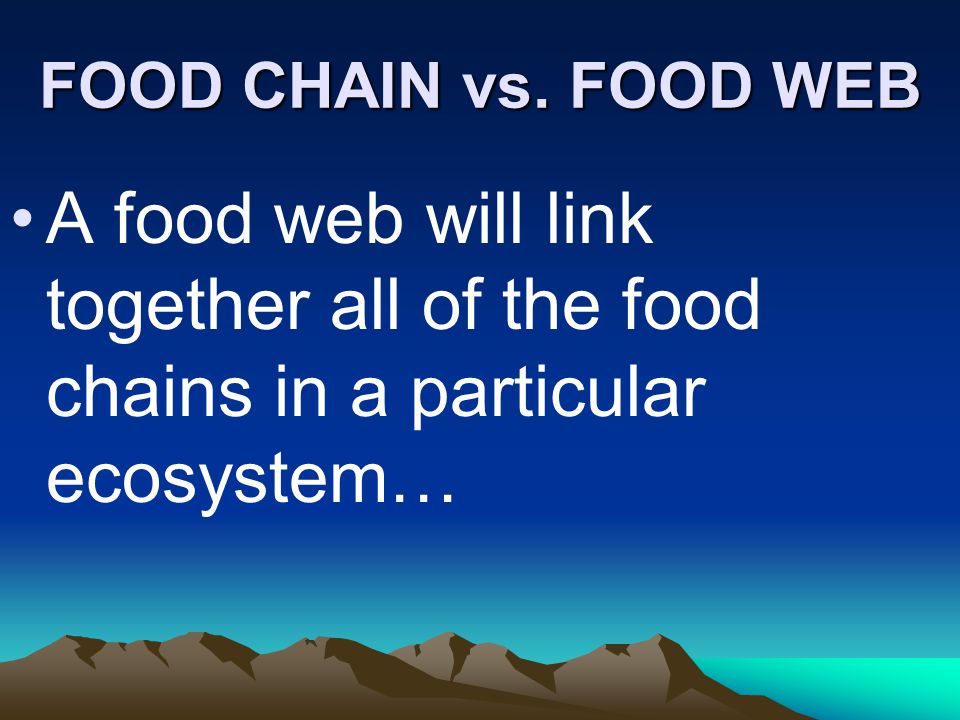 FOOD CHAIN vs.
