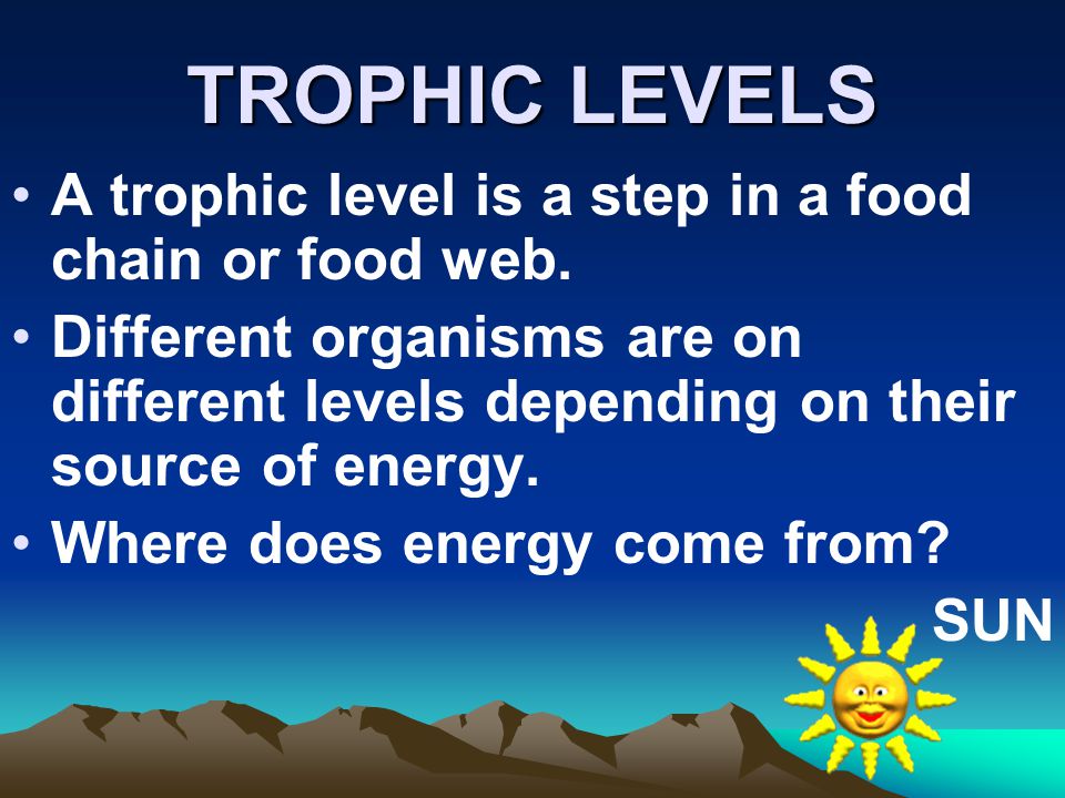 TROPHIC LEVELS A trophic level is a step in a food chain or food web.
