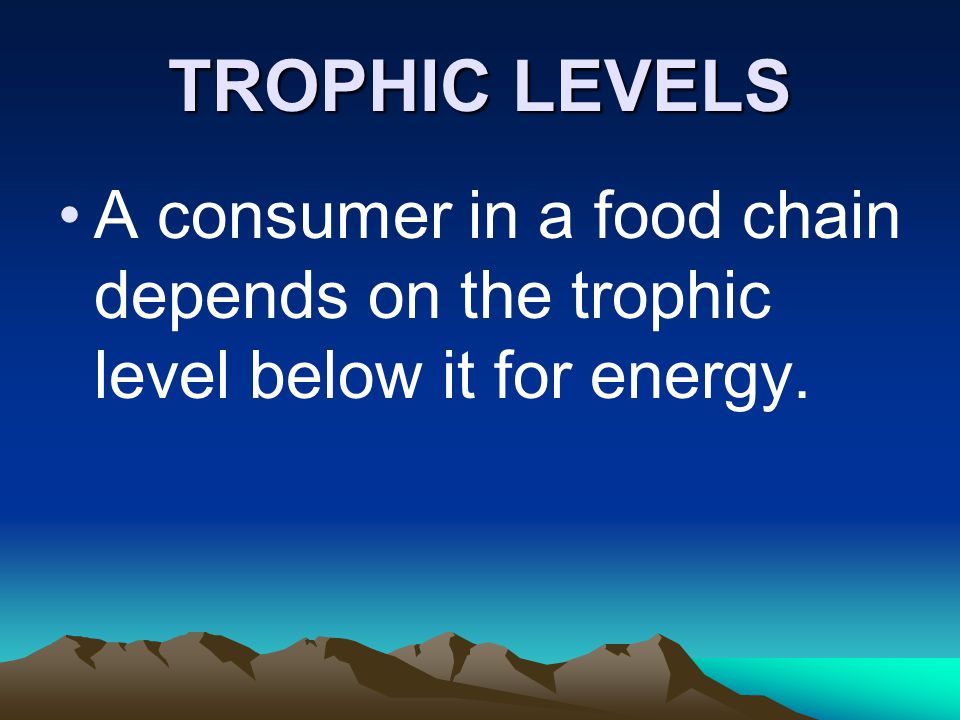 TROPHIC LEVELS A consumer in a food chain depends on the trophic level below it for energy.