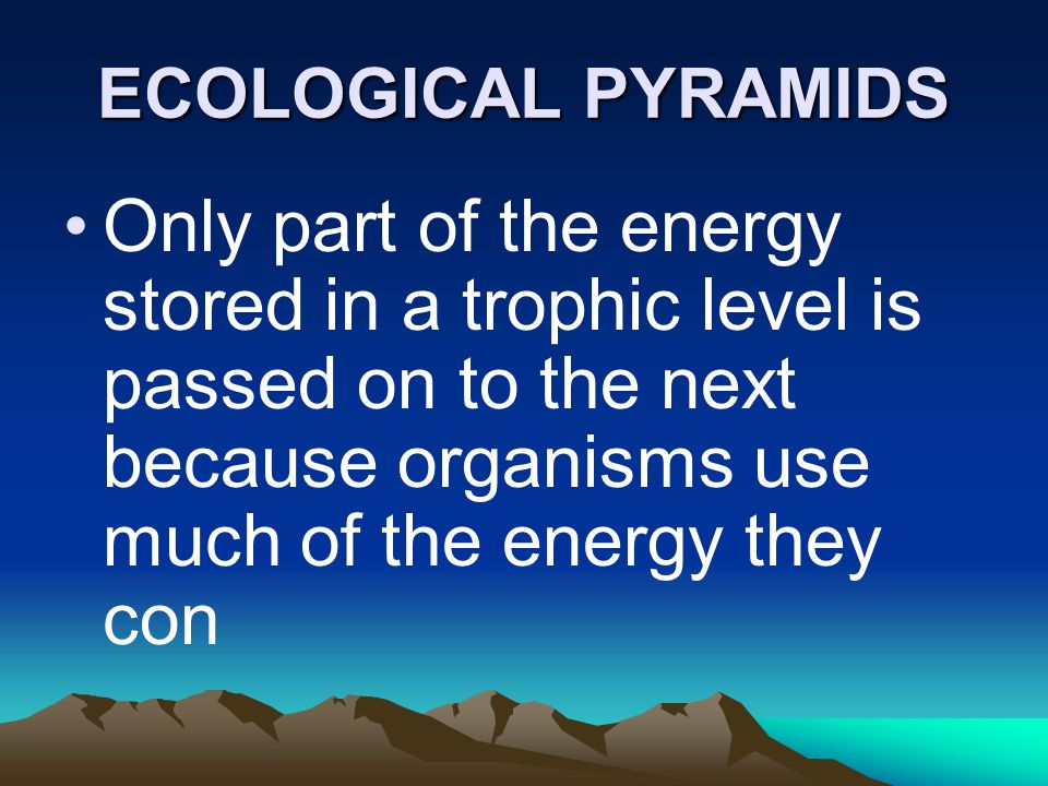 ECOLOGICAL PYRAMIDS Only part of the energy stored in a trophic level is passed on to the next because organisms use much of the energy they con.