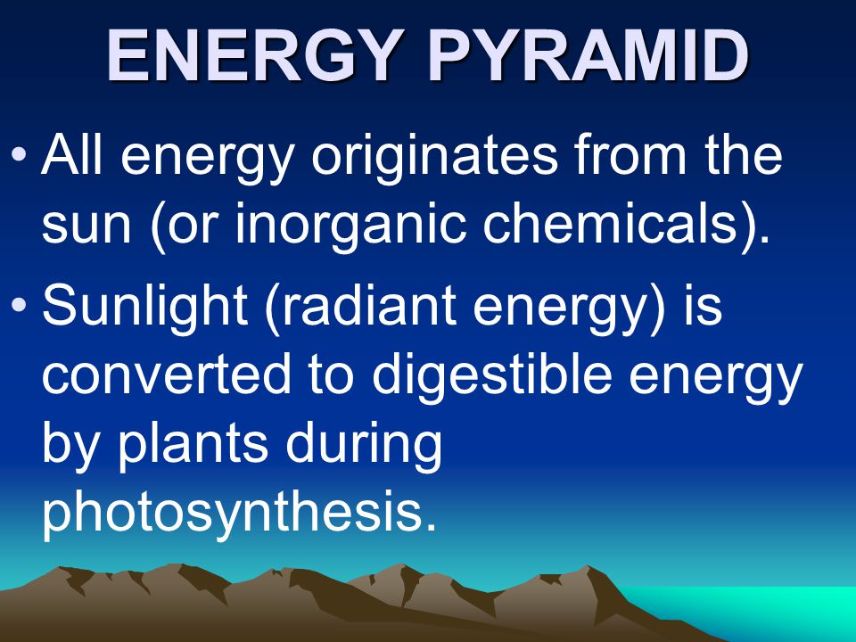 ENERGY PYRAMID All energy originates from the sun (or inorganic chemicals).