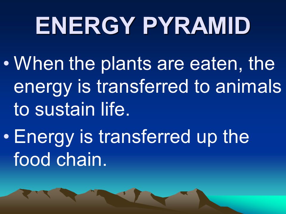 ENERGY PYRAMID When the plants are eaten, the energy is transferred to animals to sustain life.