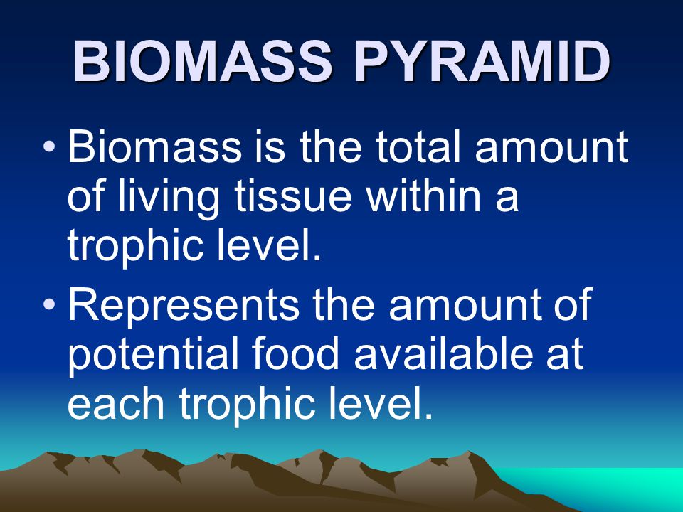 BIOMASS PYRAMID Biomass is the total amount of living tissue within a trophic level.