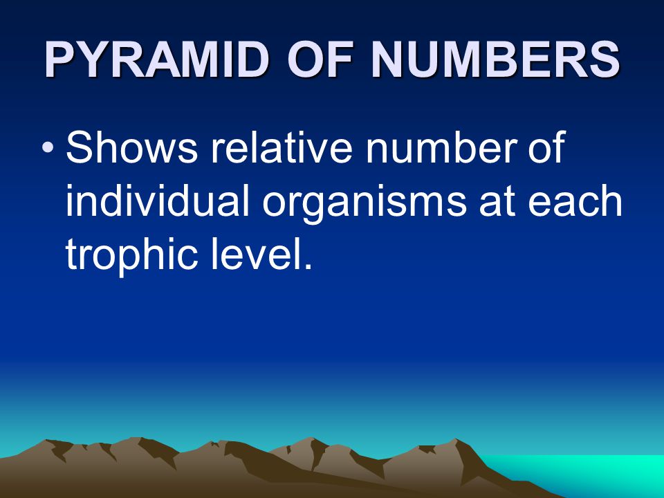 PYRAMID OF NUMBERS Shows relative number of individual organisms at each trophic level.