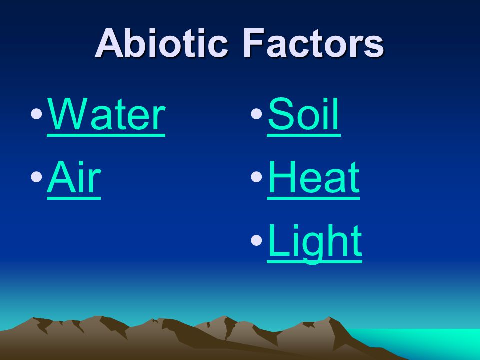 Abiotic Factors Water Air Soil Heat Light