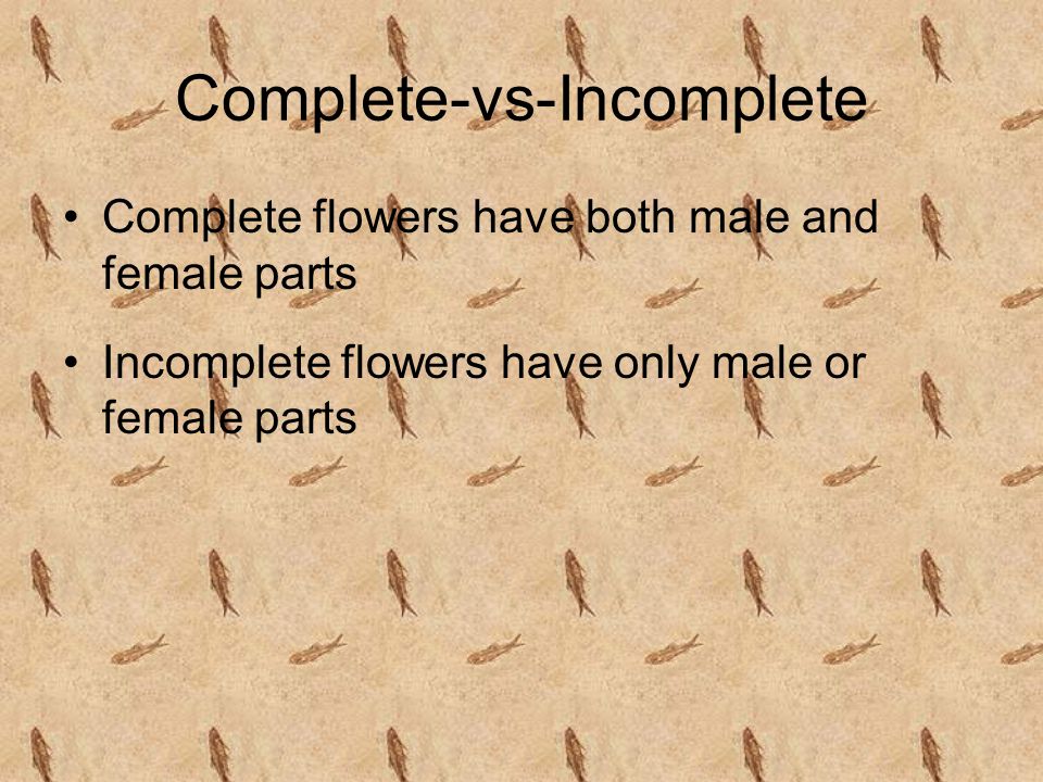 Complete-vs-Incomplete