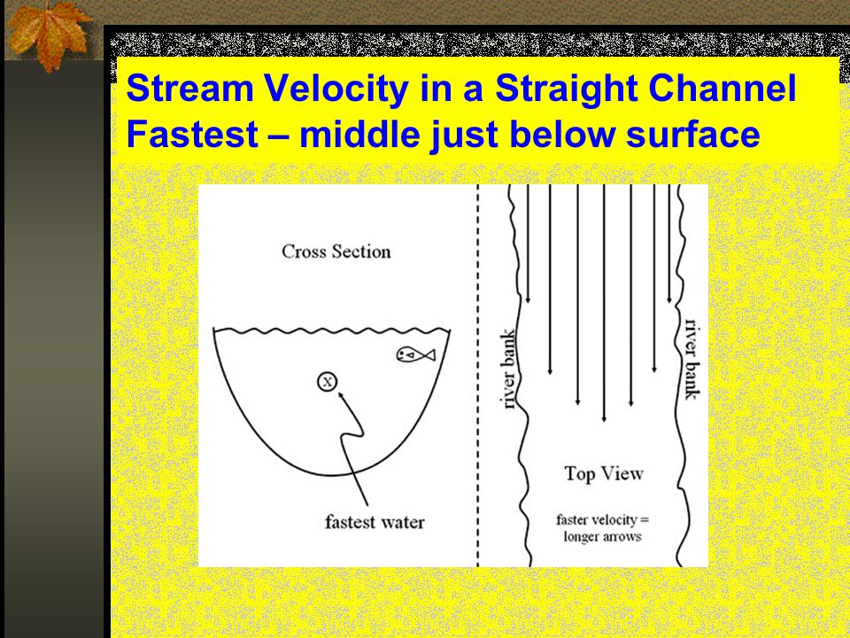 Stream Velocity in a Straight Channel Fastest – middle just below surface
