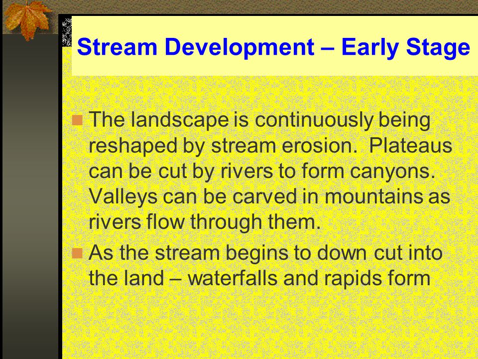 Stream Development – Early Stage