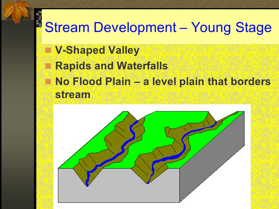 Stream Development – Young Stage