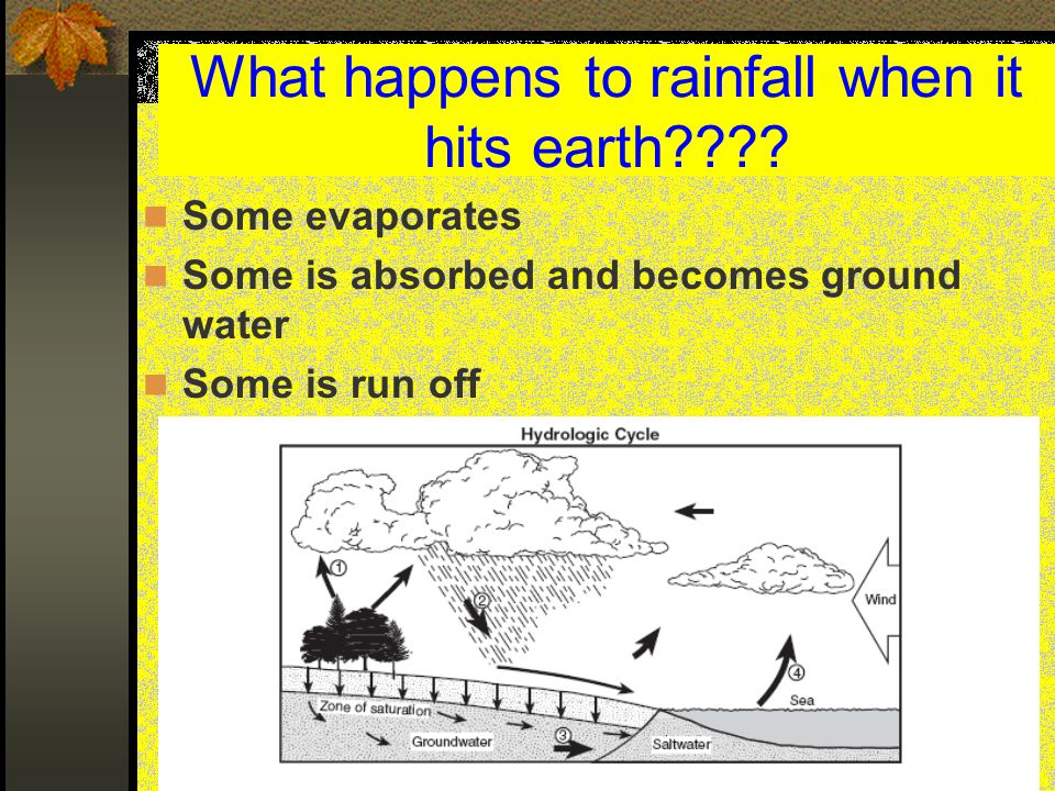 What happens to rainfall when it hits earth