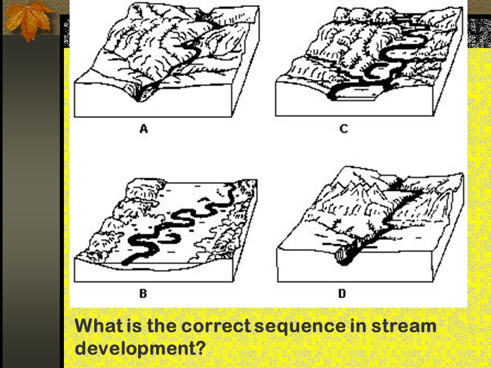 What is the correct sequence in stream development
