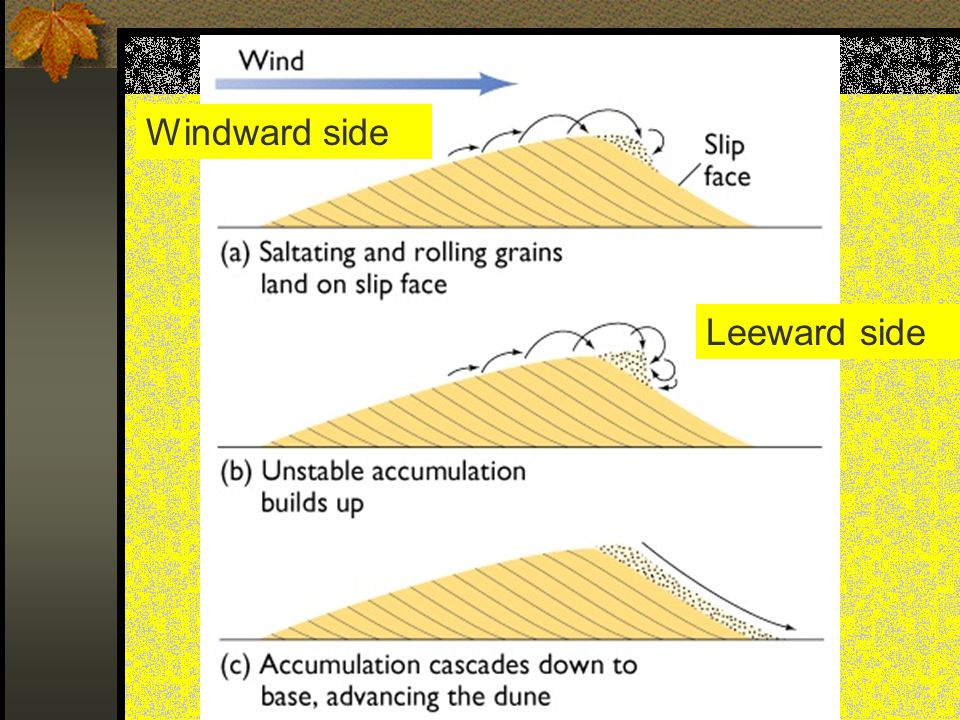 Windward side Leeward side