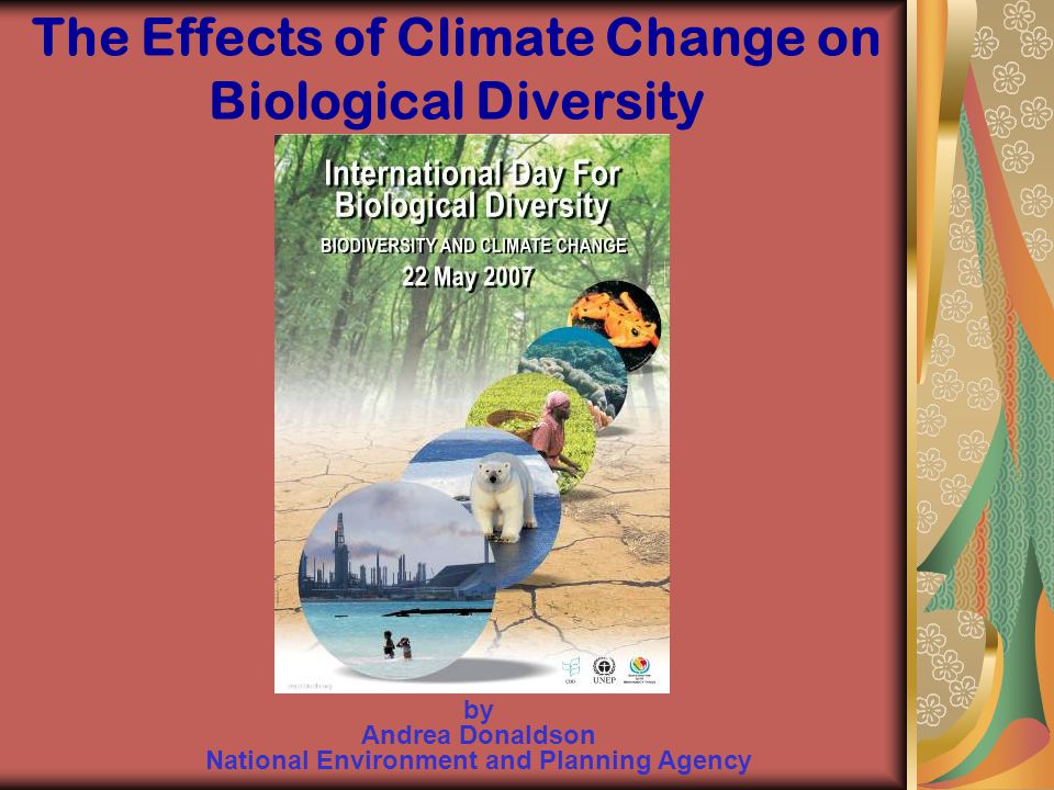 The Effects of Climate Change on Biological Diversity