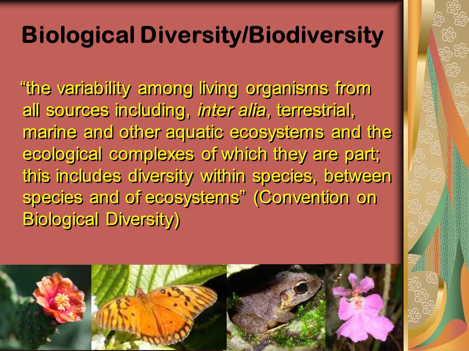Biological Diversity/Biodiversity