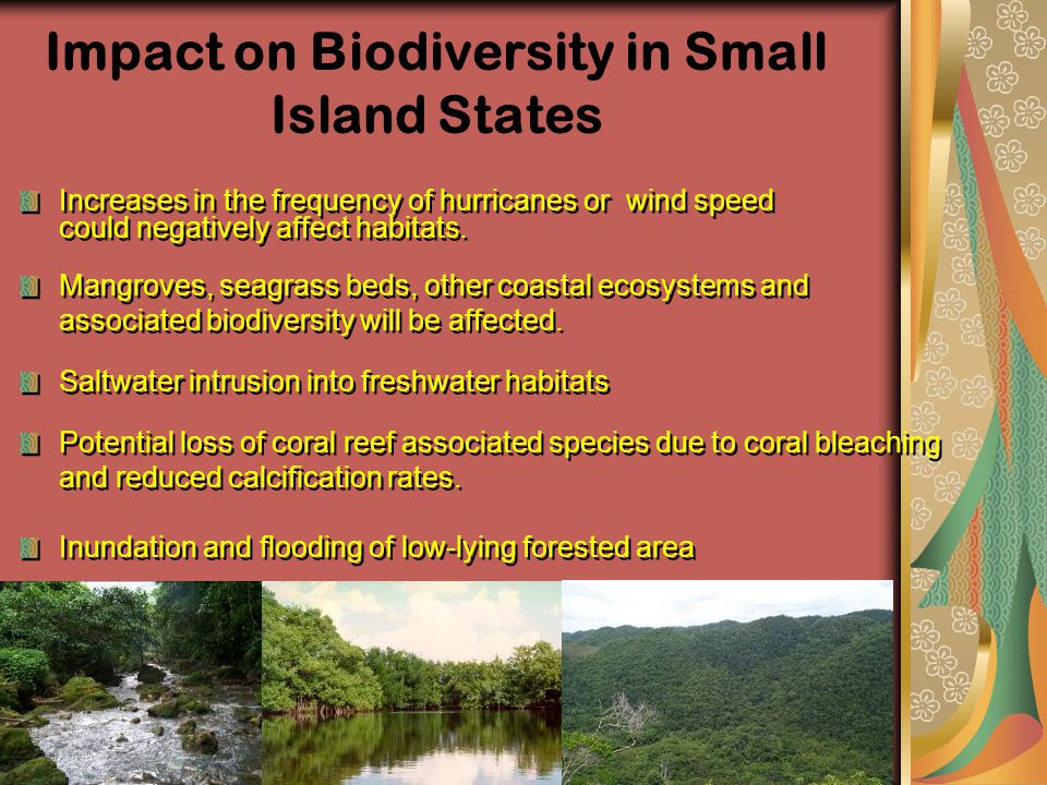 Impact on Biodiversity in Small Island States