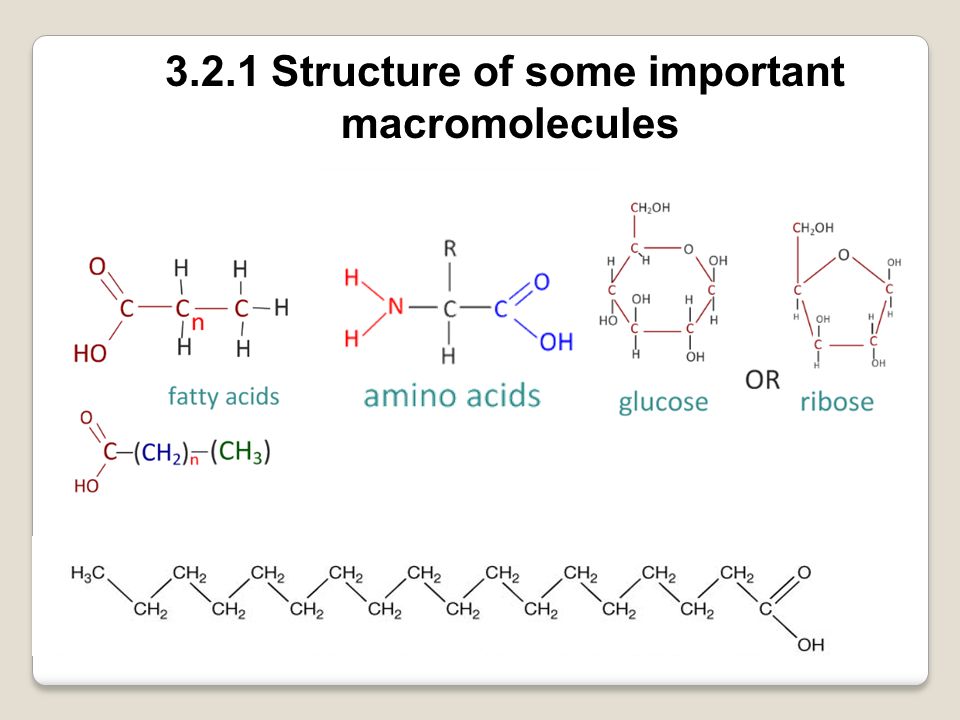 glucose basic structure Lipids ppt Carbohydrates, and Topic Proteins. video 3.2 glucose basic structure Lipids ppt Carbohydrates, and Topic Proteins. video 3.2